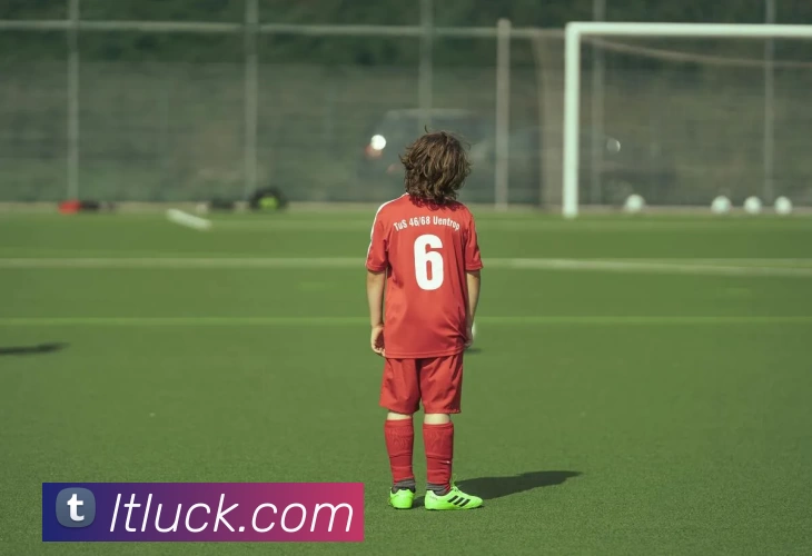 数据防护可视化